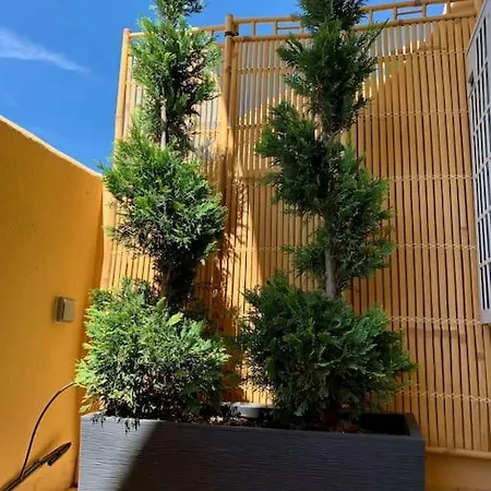 Apartmán 5* Serviced *